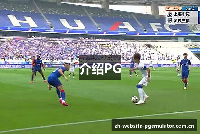 介绍PG